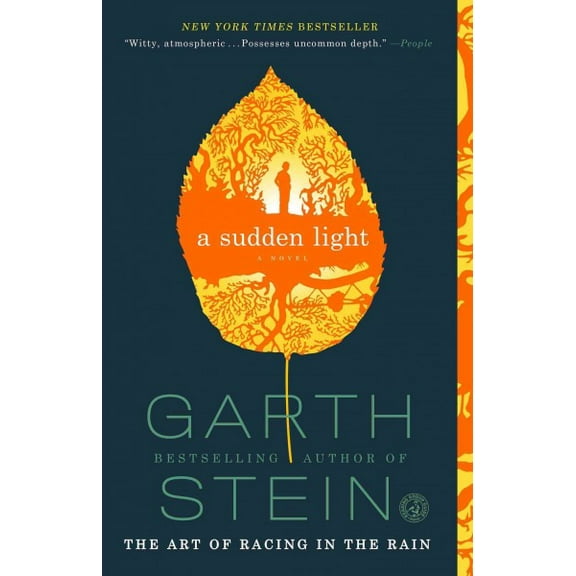 A Sudden Light : A Novel (Paperback)