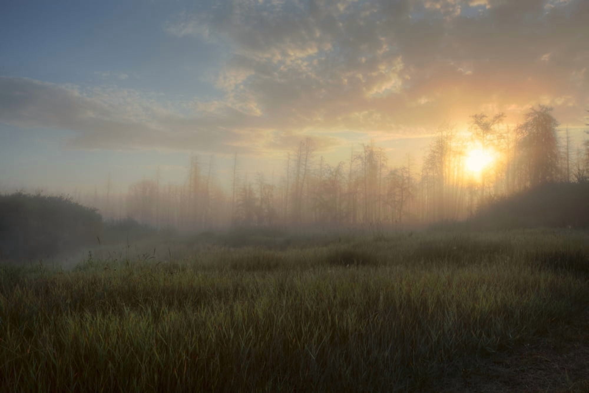 A Summer Sunrise On The Edge Of A Forest Fire Burn In Central Alberta Canvas Art - Dan Jurak Design Pics (34 x 22)
