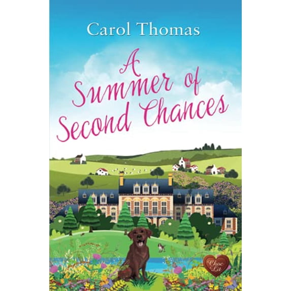 Pre-Owned A Summer of Second Chances Paperback
