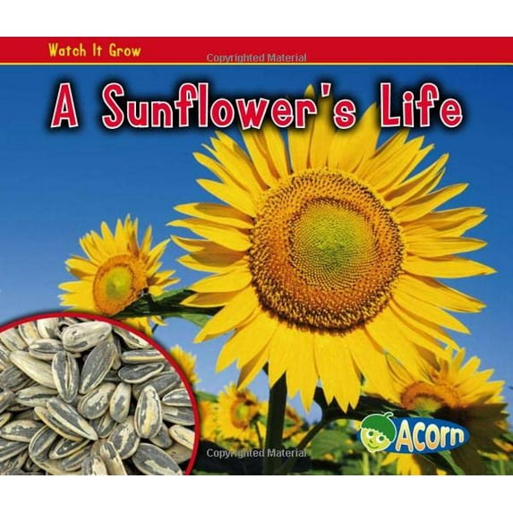 Pre-Owned A Sunflower's Life (Paperback) 1432941534 9781432941536