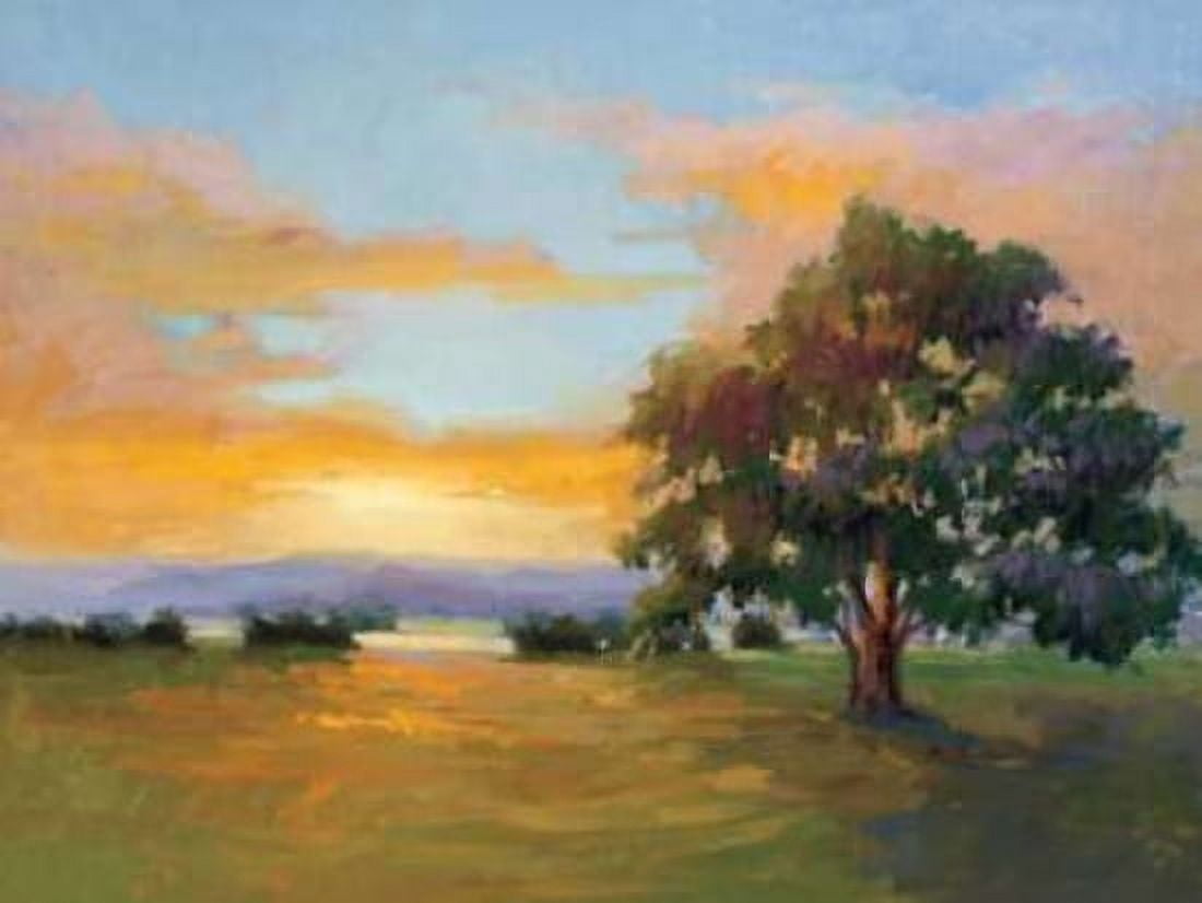 A Sunset Salute Canvas Art - Vicki McMurry (22 x 28)