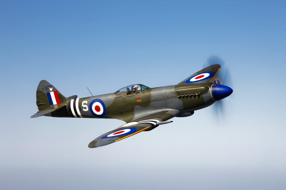 A Supermarine Spitfire Mk-18 in flight Canvas Art - Scott GermainStocktrek Images (18 x 12)