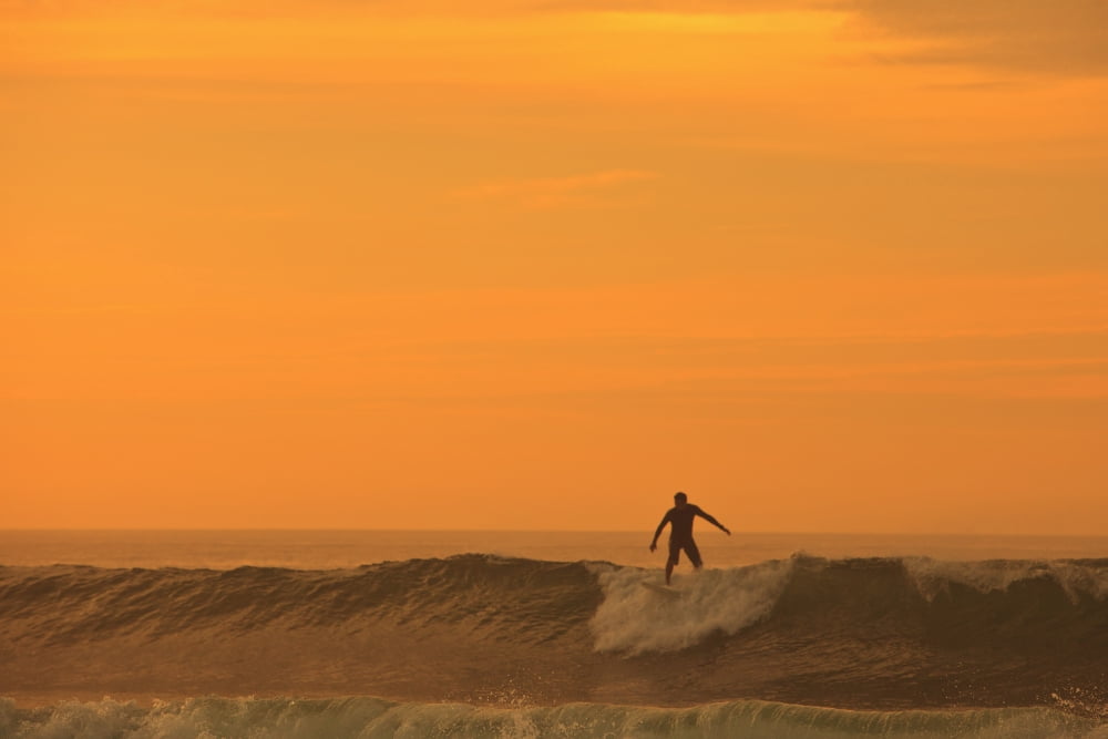A Surfer On A Wave At Dusk Baja California Sur Mexico Canvas Art - Stuart Westmorland Design Pics (38 x 24)
