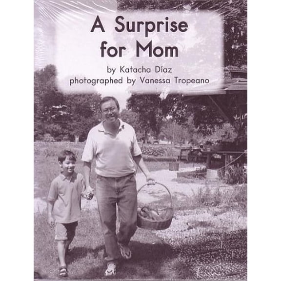 Pre-Owned A Surprise for Mom; Leveled Literacy Intervention My Take-Home 6 Pak Books, same title (Book 78 Level E, Nonfiction) Green System,Grade 1 Paperback