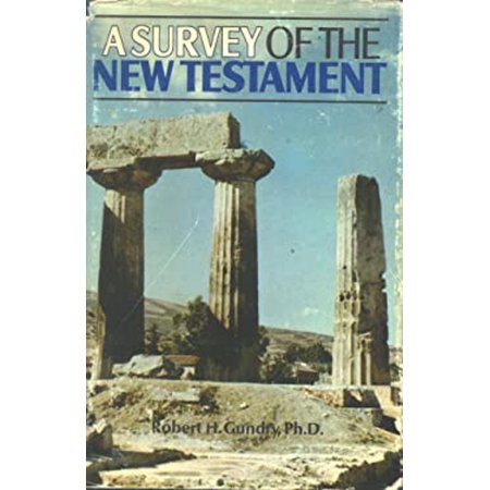 Pre-Owned A Survey of the New Testament (Paperback) 9780853641117