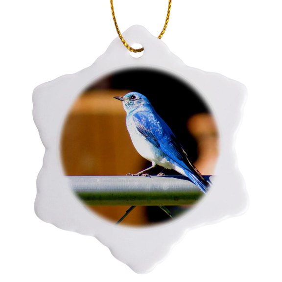 3drose, a Sweet Blue Bird Sitting on a Fence of Chain Link in Pine Valley Ut, 3 inch Snowflake Porcelain Ornament