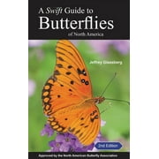 A Swift Guide to Butterflies of North America (Paperback)