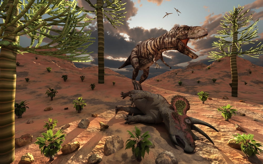 A T-Rex comes across the carcass of a dead Triceratops Canvas Art - Mark StevensonStocktrek Images (18 x 12)