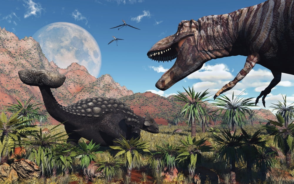 A T Rex confronts an Ankylosaurus dinosaur Canvas Art - Mark StevensonStocktrek Images (18 x 12)