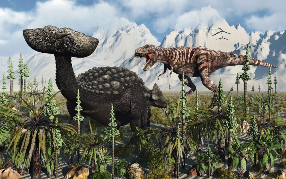 A T Rex confronts an Ankylosaurus dinosaur Canvas Art - Mark StevensonStocktrek Images (36 x 23)