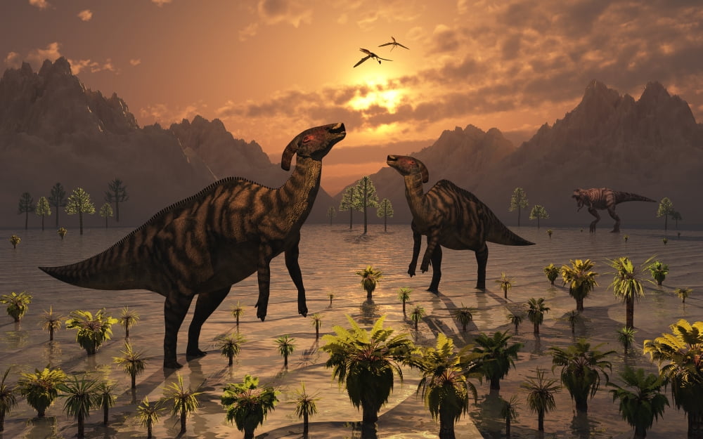 A T Rex creeps up on a pair of Parasaurolophus duckbill dinosaurs Canvas Art - Mark StevensonStocktrek Images (18 x 12)