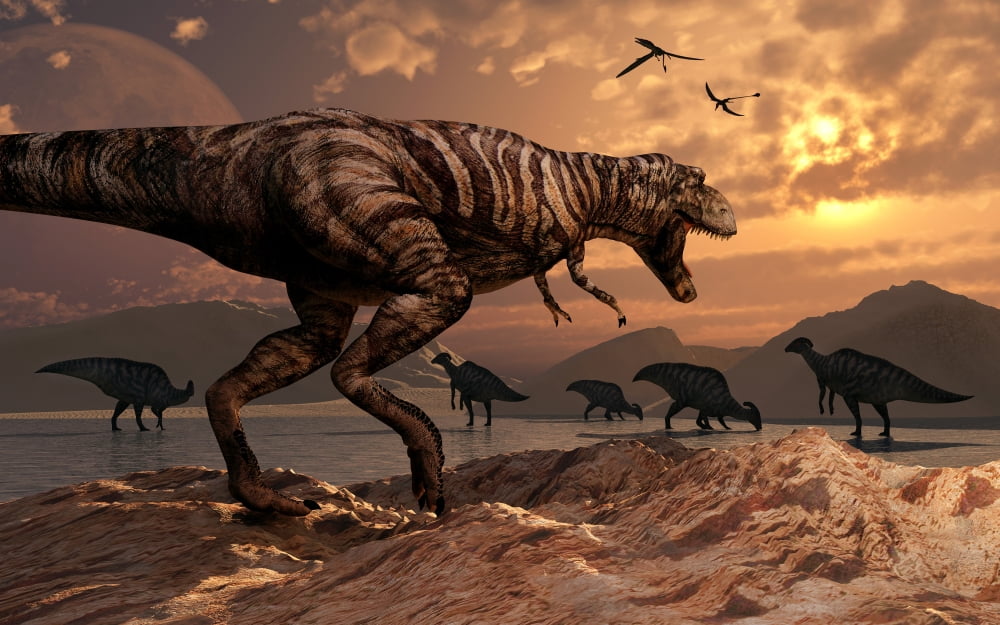 A T-Rex plans his attack on a herd of Parasaurolophus dinosaurs Canvas Art - Mark StevensonStocktrek Images (36 x 23)