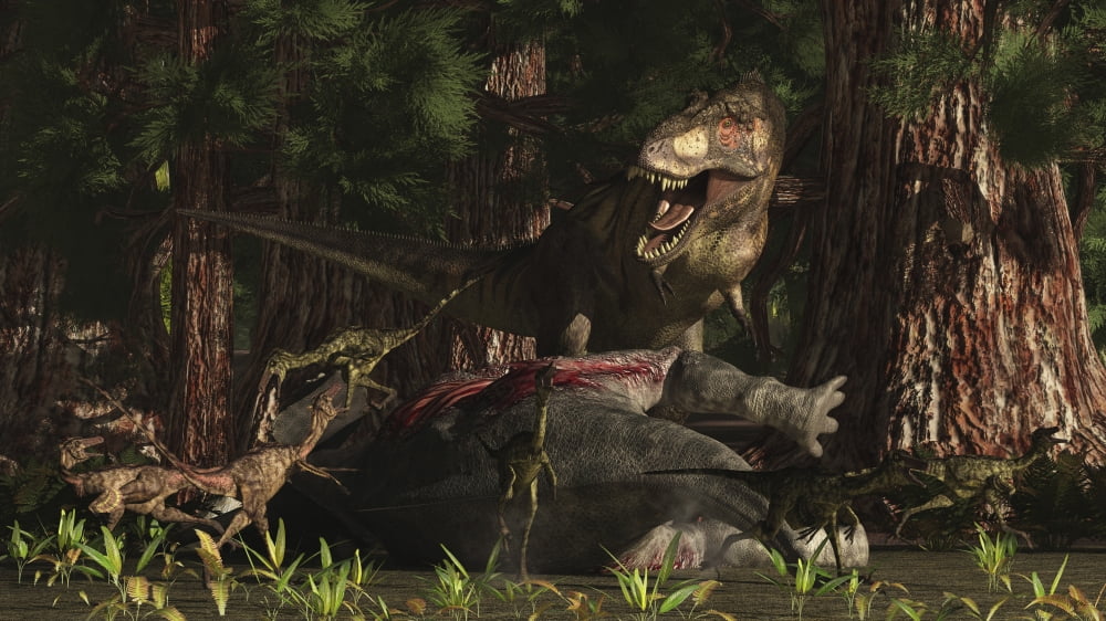 A T-Rex returns to his kill and finds some poaching raptors Canvas Art - Arthur DoretyStocktrek Images (19 x 11)