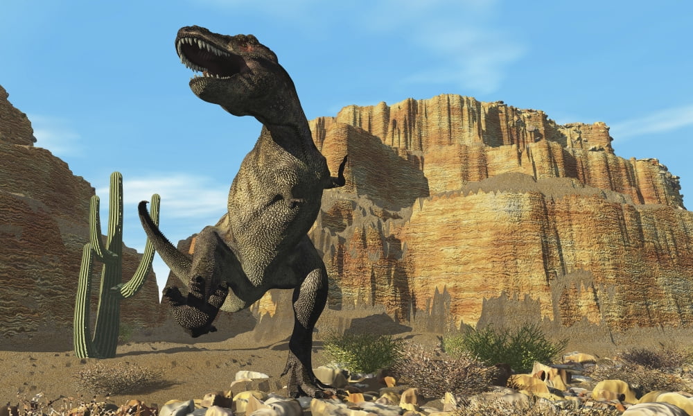A T-Rex roars his defiance to all other dinosaurs in his territory Canvas Art - Corey FordStocktrek Images (36 x 22)