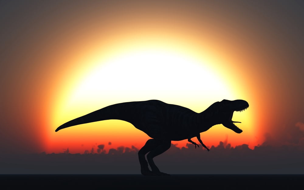 A T Rex silhouetted against the setting Sun at the end of a prehistoric day Canvas Art - Mark StevensonStocktrek Images (18 x 12)