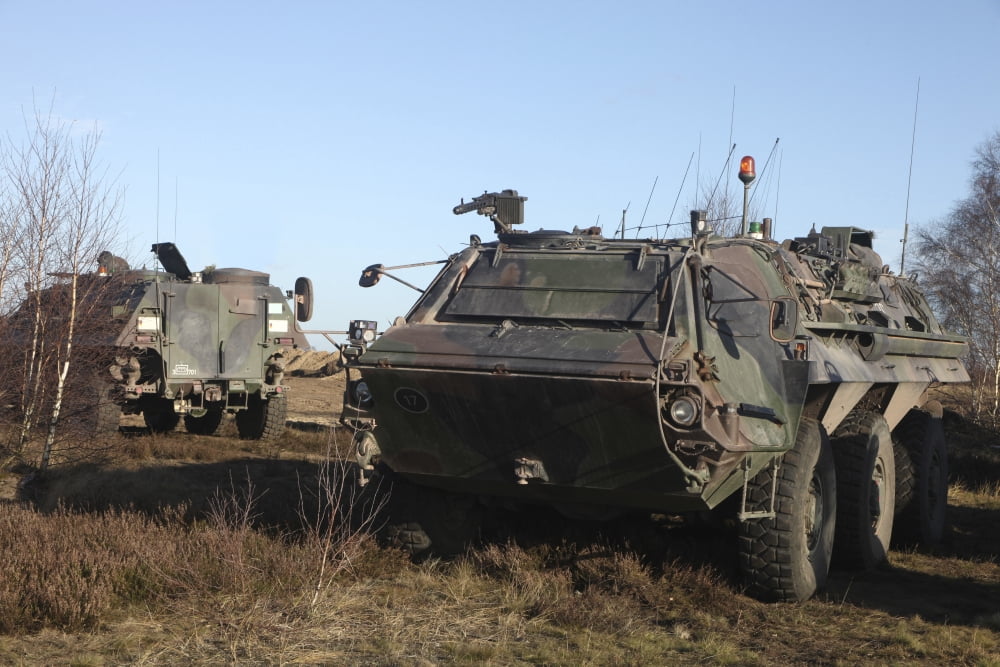 A TPz Fuchs armored personnel carrier of the German Army Canvas Art - Timm ZiegenthalerStocktrek Images (18 x 12)