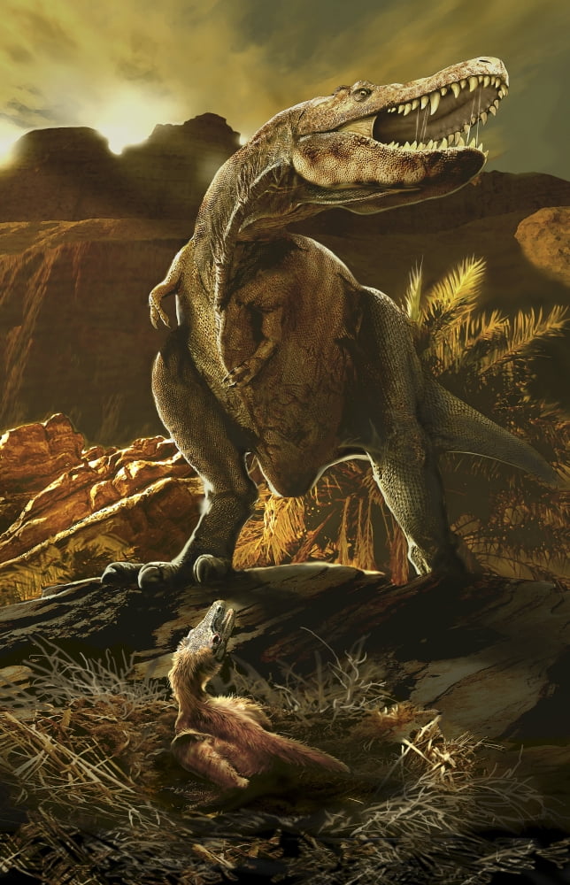 A Tarbosaurus and its newborn Canvas Art - Jan SovakStocktrek Images (12 x 18)