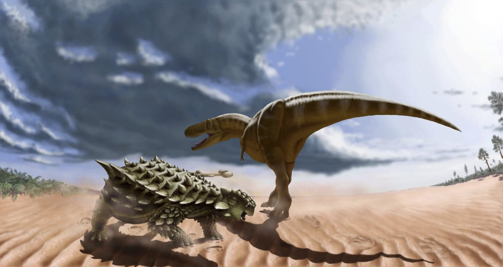 A Tarbosaurus dinosaur and an armored Saichania ankylosaurid Canvas Art - Yuriy PriymakStocktrek Images (38 x 21)