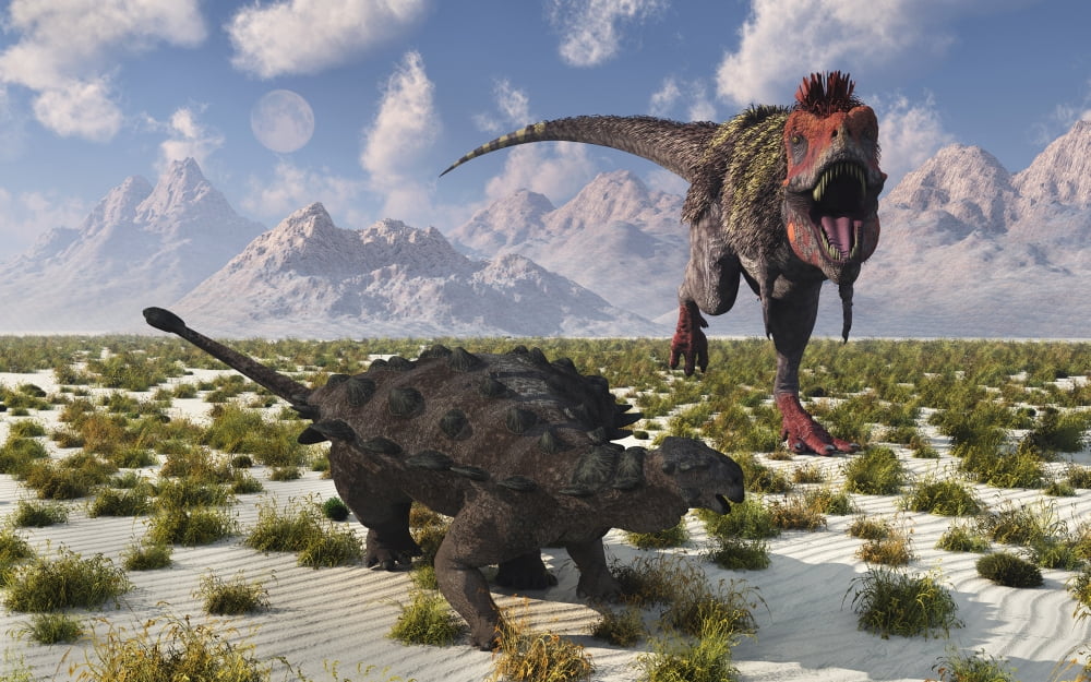 A Tarbosaurus dinosaur approaching a Pinacosaurus Canvas Art - Mark StevensonStocktrek Images (18 x 12)
