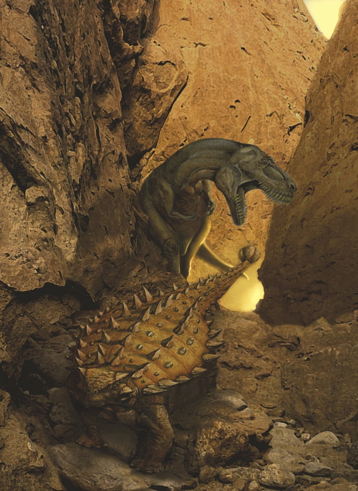 A Tarbosaurus sneaks up from behind on an armored Talarurus Canvas Art - Jan SovakStocktrek Images (24 x 33)