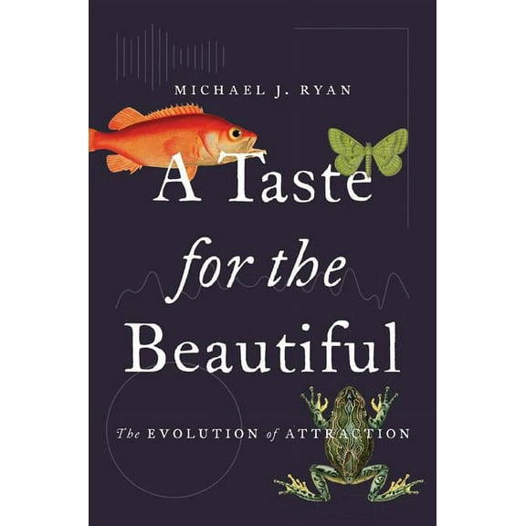 A Taste for the Beautiful: The Evolution of Attraction, (Hardcover)