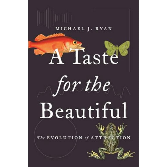 Pre-Owned A Taste for the Beautiful: The Evolution of Attraction (Paperback) 0691191395 9780691191393
