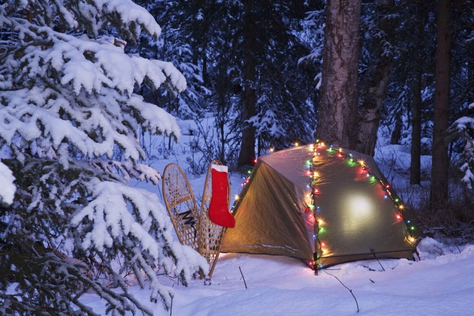 A Tent Is Set Up In The Woods With Christmas Lights And Stocking Near Anchorage Alaska Canvas Art - John Delapp Design Pics (17 x 11)