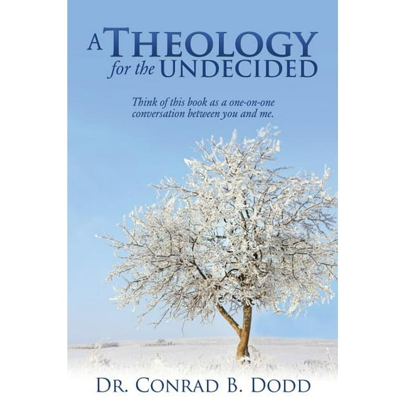 A Theology for the Undecided, (Paperback)