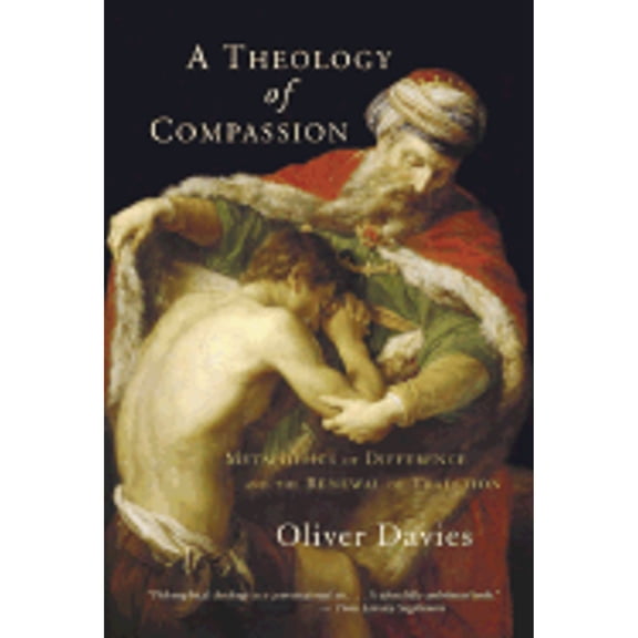 A Theology of Compassion : Metaphysics of Difference and the Renewal of Tradition (Paperback)