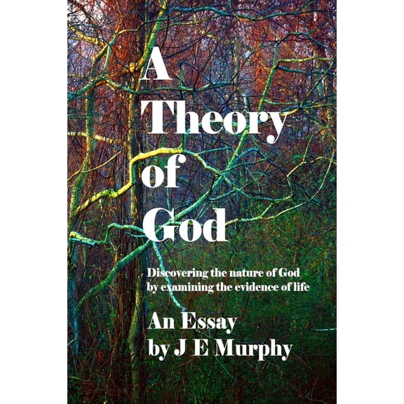 A Theory of God: Discovering the nature of God by examining the evidence of Life, (Paperback)