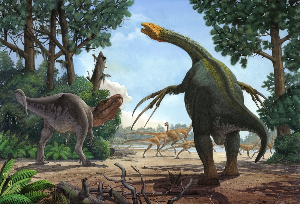 A Therizinosaurus prevents a young Tarbosaurus in his hunt for Gallimimus Canvas Art - Sergey KrasovskiyStocktrek Images (35 x 24)