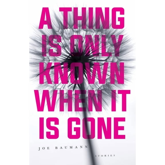 A Thing Is Only Known When It Is Gone, (Paperback)