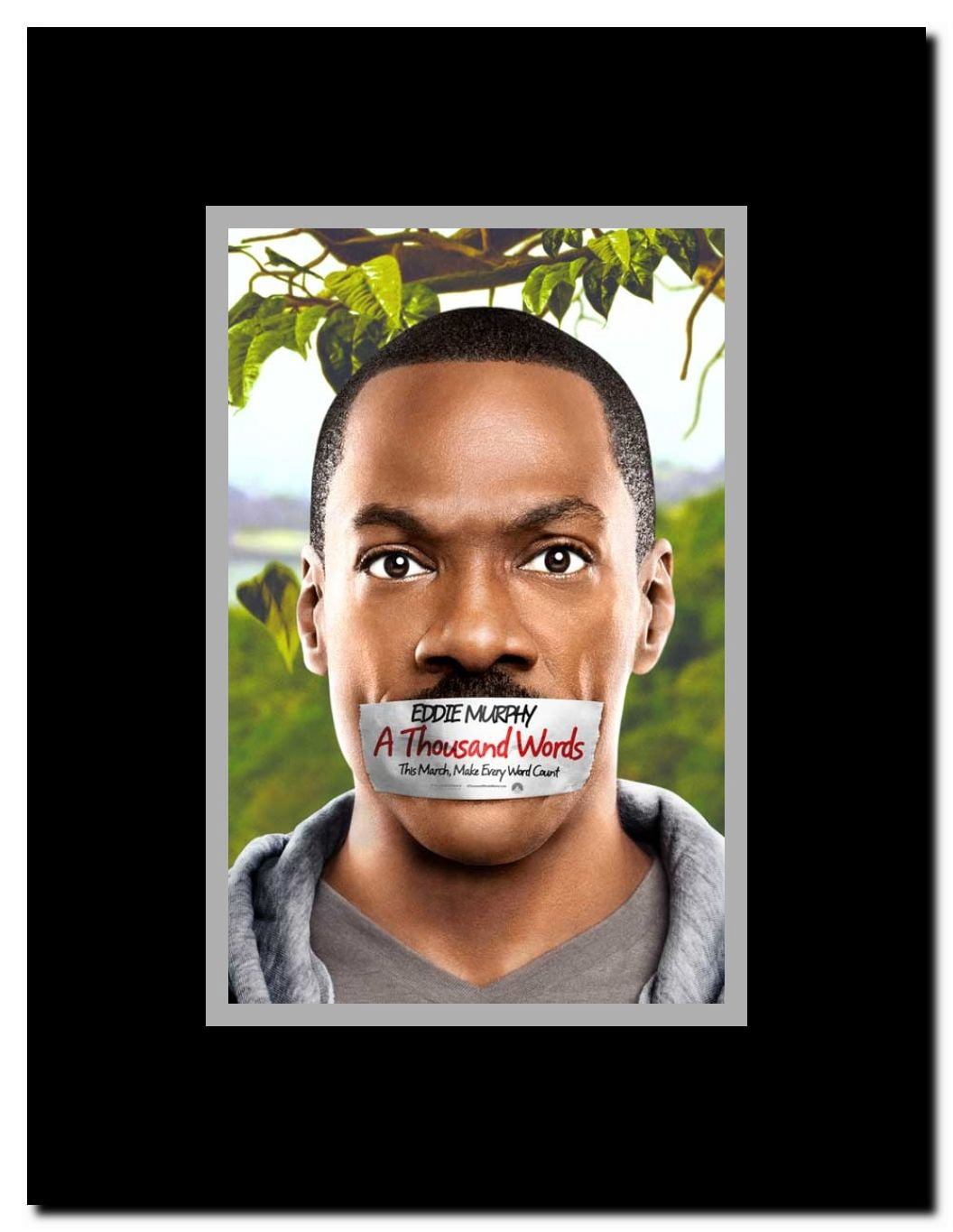 A Thousand Words Framed Movie Poster