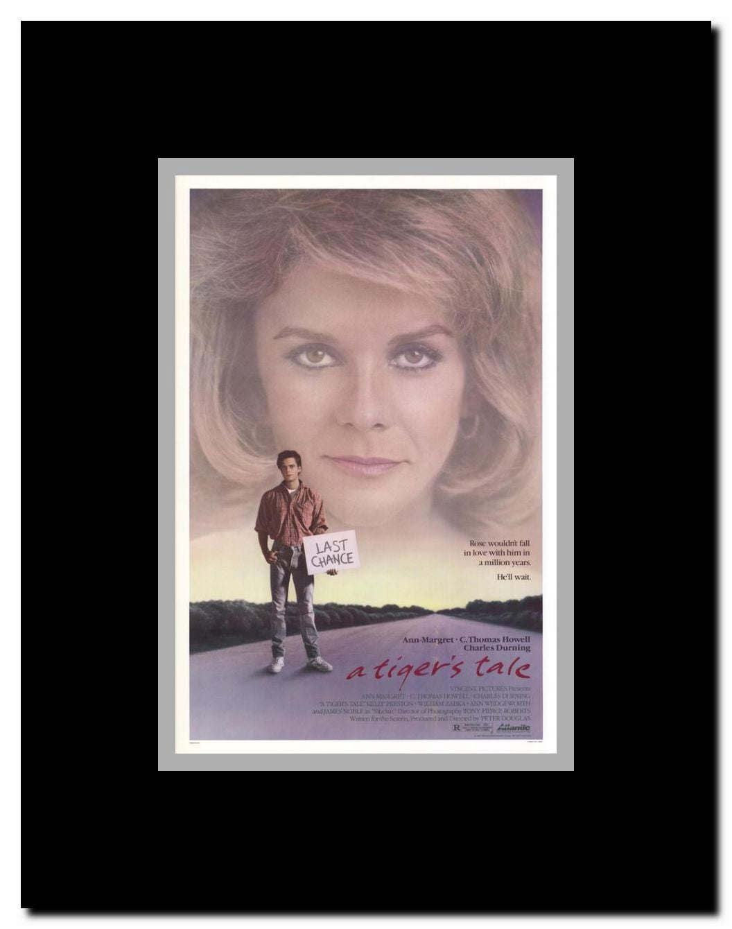 A Tiger's Tale Framed Movie Poster