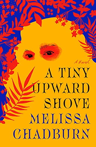 A Tiny Upward Shove : A Novel (Hardcover)