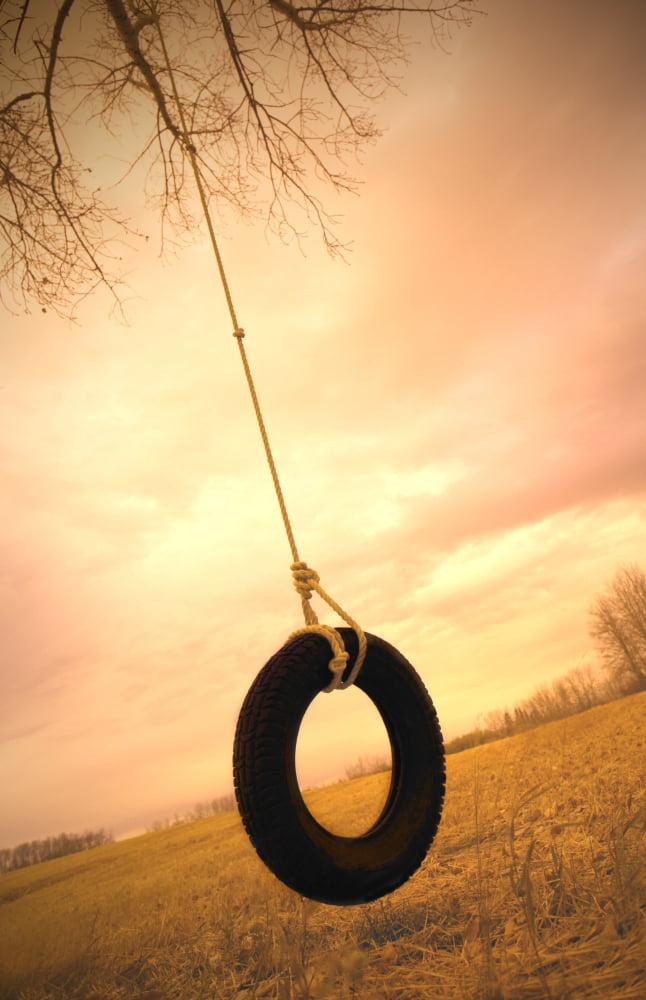 A Tire Swing Canvas Art - Darren Greenwood Design Pics (11 x 17)