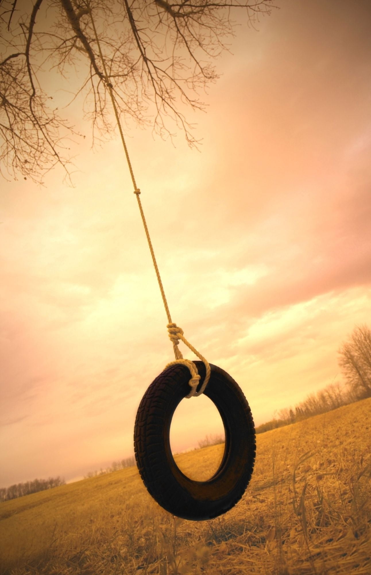 A Tire Swing Canvas Art - Darren Greenwood Design Pics (22 x 34)