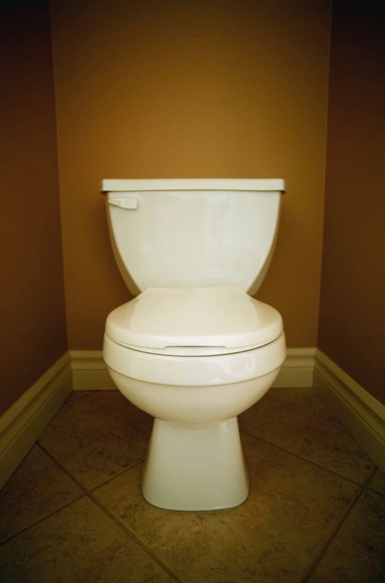 A Toilet Canvas Art - Darren Greenwood Design Pics (11 x 17)