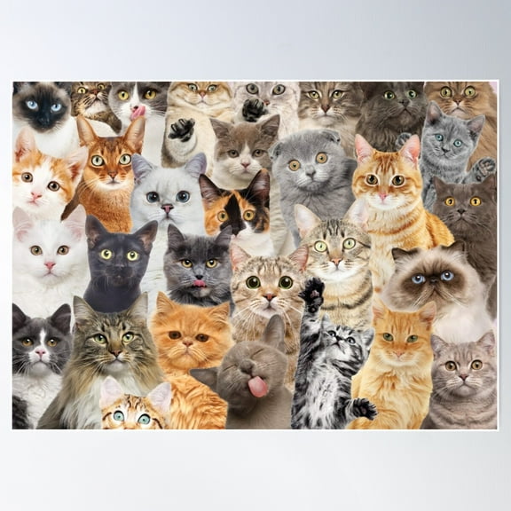 A Ton Of Kittens ! Poster Wall Art, Modern Wall Decor For Living Room Bedroom, 8x12 UNFRAMED