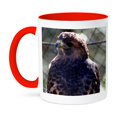 thumbnail image 1 of 3dRose, A top shot of a female redtail hawk, 11oz Two-Tone Red Mug, 1 of 7