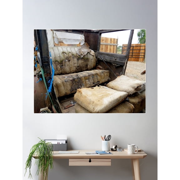 A Total Shame Poster Wall Art, Modern Wall Decor For Living Room Bedroom, 16x24 UNFRAMED