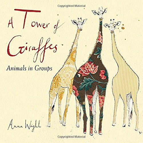 Pre-Owned A Tower of Giraffes: Animals in Groups (Hardcover) 158089707X 9781580897075