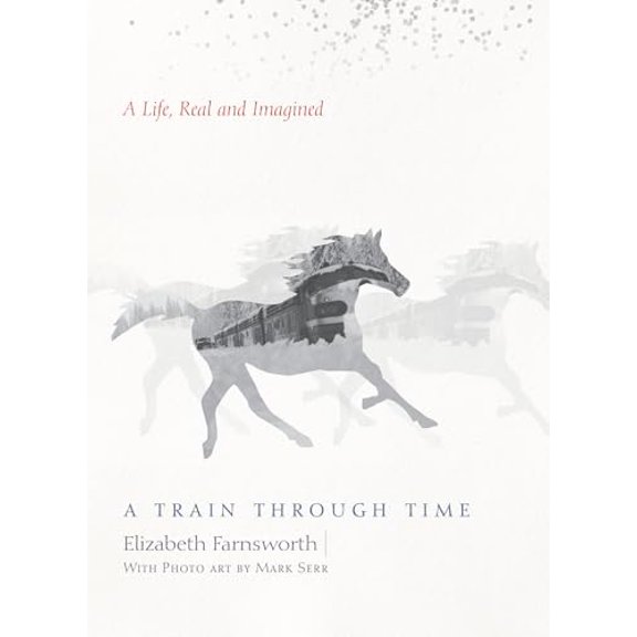 Pre-Owned A Train Through Time: A Life, Real and Imagined (Hardcover) 1619028433 9781619028432