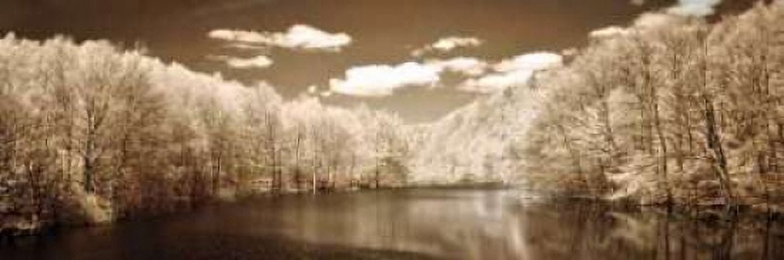 A Tranquil Journey Canvas Art - Ily Szilagyi (8 x 24)