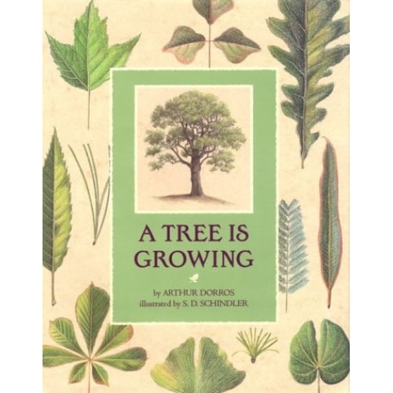 Pre-Owned A Tree Is Growing (Hardcover) 0590453009 9780590453004