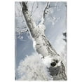 thumbnail image 1 of A Tree Poster Print by Don Hammond, 22 x 34 - Large, 1 of 1