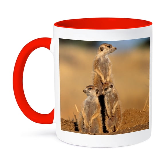 3dRose, A trio of Suricates sunning themselves at their den., 15oz Two-Tone Red Mug