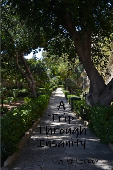 A Trip Through Insanity, (Paperback)