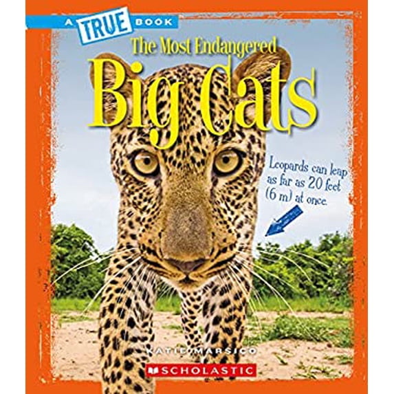 Pre-Owned Big Cats (a True Book: The Most Endangered) (Unknown) 053122726X 9780531227268
