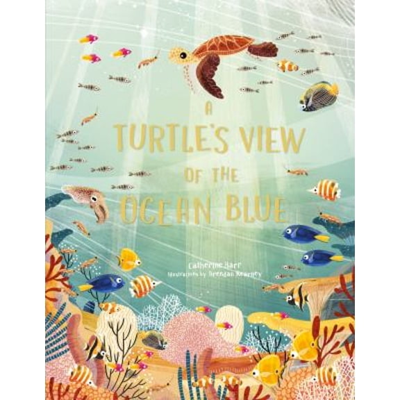 Pre-Owned A Turtle's View of the Ocean Blue (Hardcover) 178627910X 9781786279101